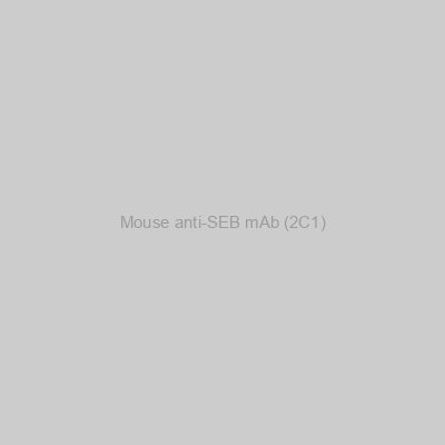 Mouse anti-SEB mAb (2C1)